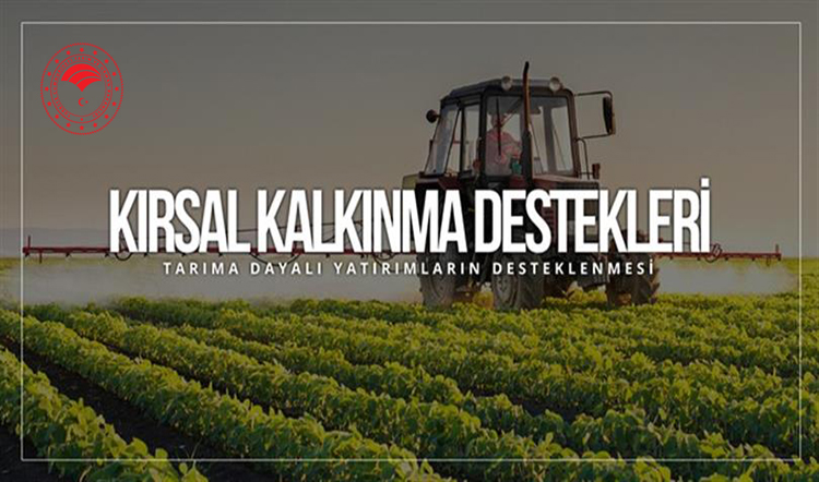 KKYDP Danışmanlığı